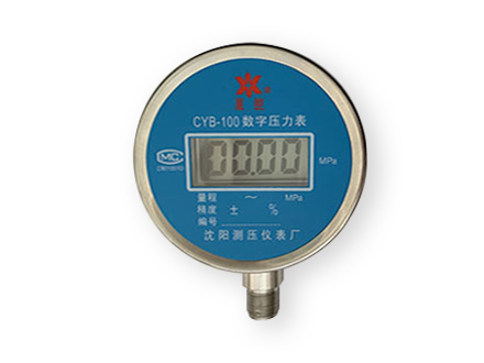 CYB-100 數字壓力表